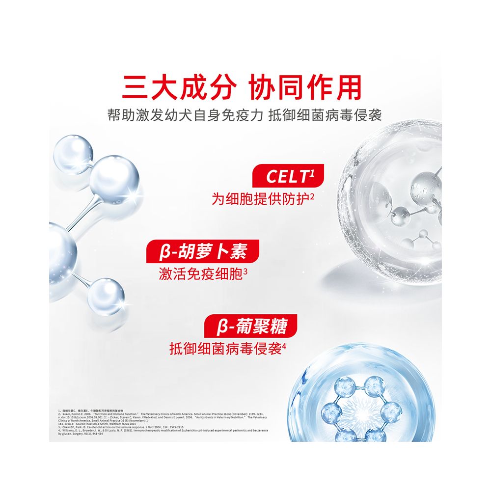 Royal Dog Food Small Dog Puppy Food MIJ31 2KG 2 Full Price Food Teddy Bear Wealthy Period Exclusive Official image 2