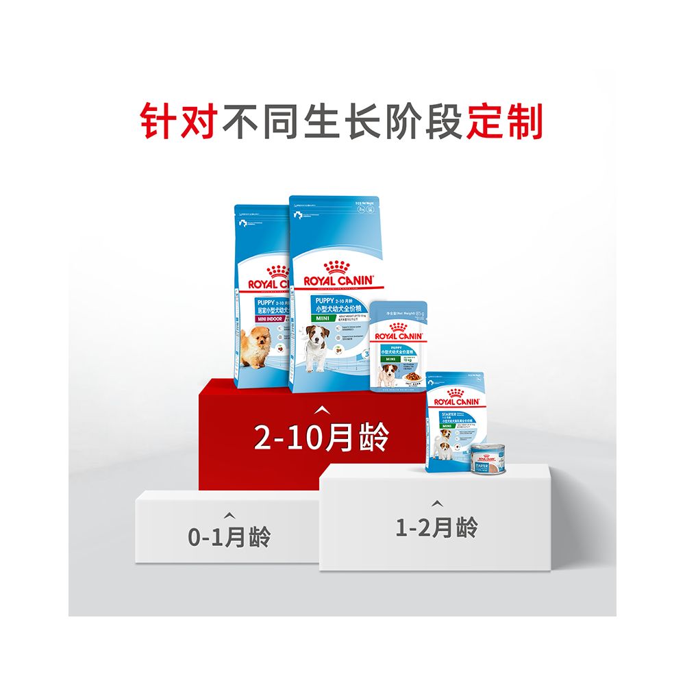 Royal Dog Food Small Dog Puppy Food MIJ31 2KG 2 Full Price Food Teddy Bear Wealthy Period Exclusive Official image 4