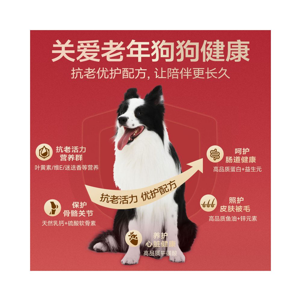 Maifudi Senior Dog Food for Adult Dogs General Teddy corgi Golden Hair Senior Dog Food for Senior Dogs image 3