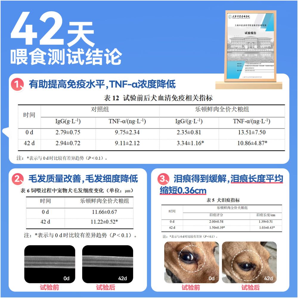 Leton Dog Food Fresh Meat Grain Free Teddy Beard corgi Golden Puppy Adult Dog Freeze Dry Flagship Store Official Genuine image 2