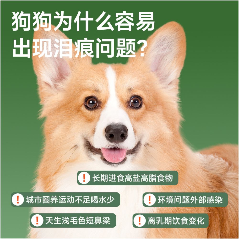 Fresh Grain says flagship store dog food duck meat pear freeze dried teddy bear tear removal full price genuine large medium and small dog food image 2