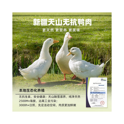 Papa Wang s Fresh Meat Grain Free Dog Food Teddy corgi Beagle Puppy Adult Dog Frozen Dry Food Flagship Store Official Genuine image 3