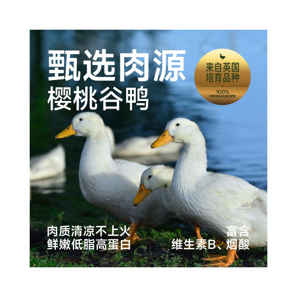 New Pure Fu Small Dog Food Duck Meat Pear Formula Universal Dog Food Puppy Adult Flagship Store Official image 3