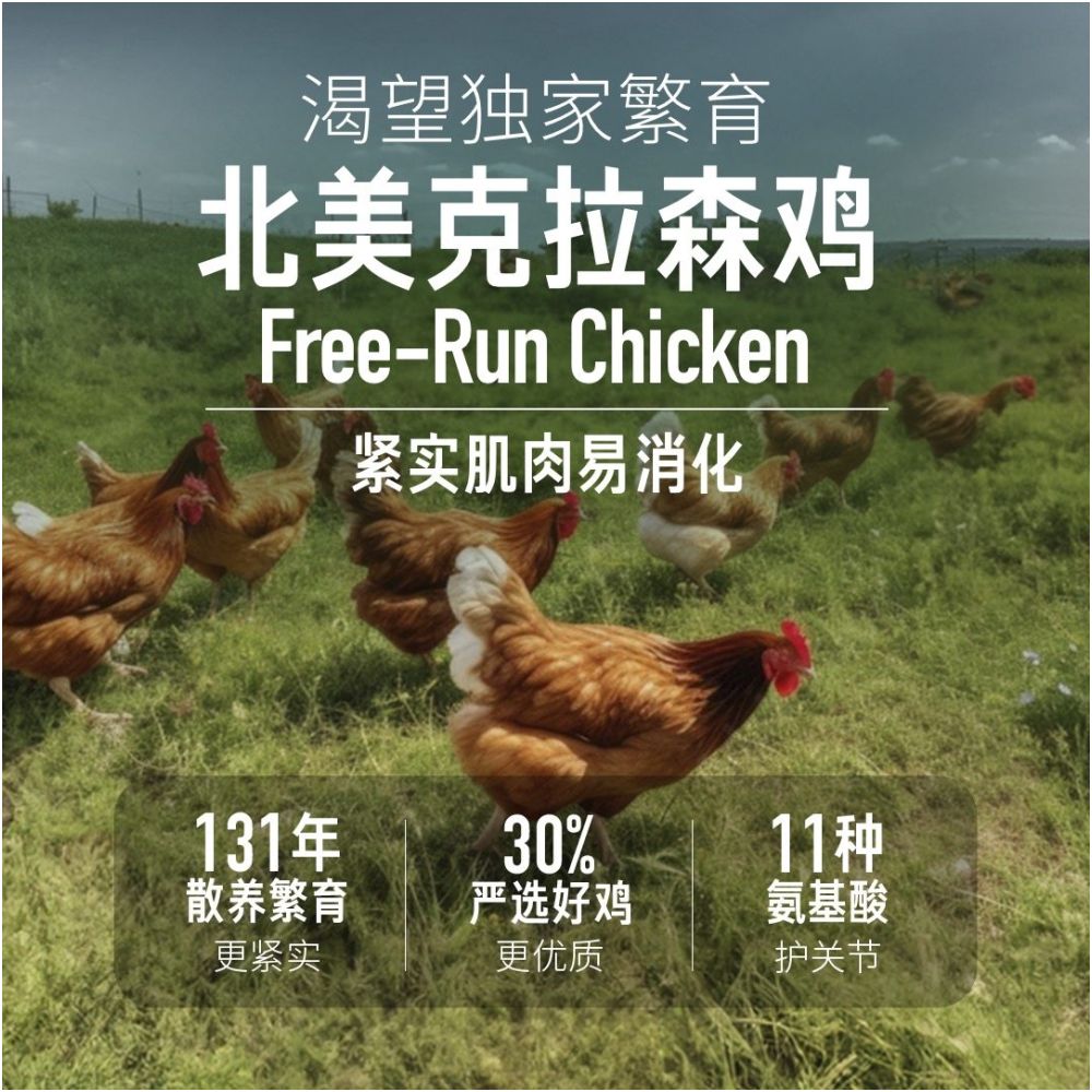 Official flagship Orijen desires to protect adult cats with eight layers of imported nutritious full cat food 1 8 5 4kg image 4