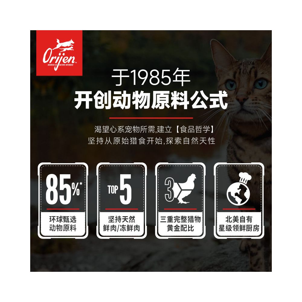 Official flagship Orijen yearns for original hunting American version chicken original flavor cat food into cat food 1 8kg image 5