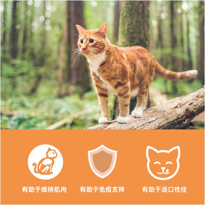 Official flagship Orijen yearns for official flagship store grain free chicken cat food US version 1 8kg image 3