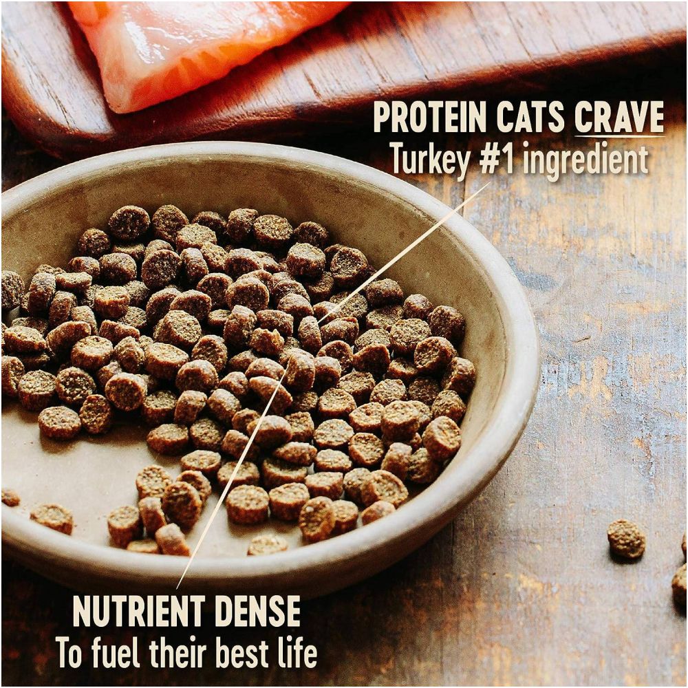 US Direct Mail Wellness CORE Kitten Formula Cat 2 pounds of grain free dry cat food image 2