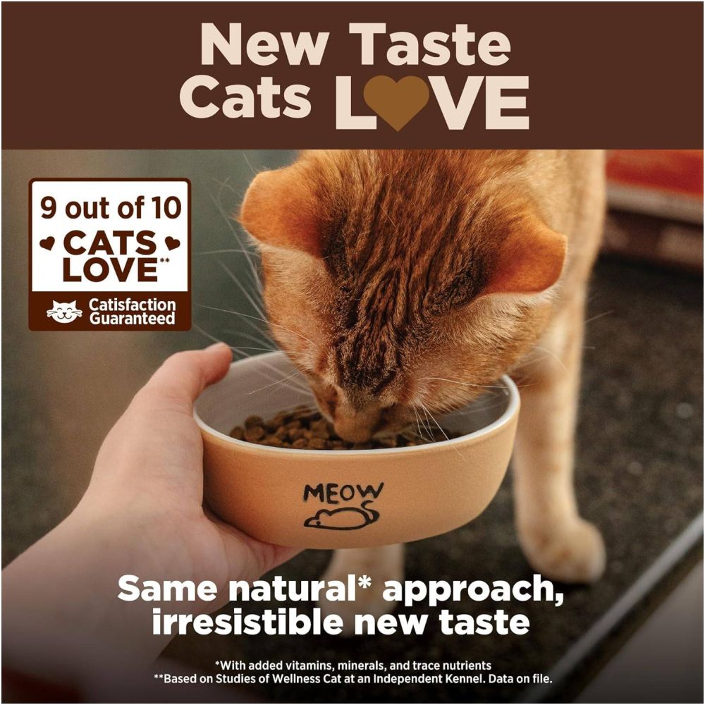 US Direct Mail Wellness CORE Kitten Formula Cat 2 pounds of grain free dry cat food image 3