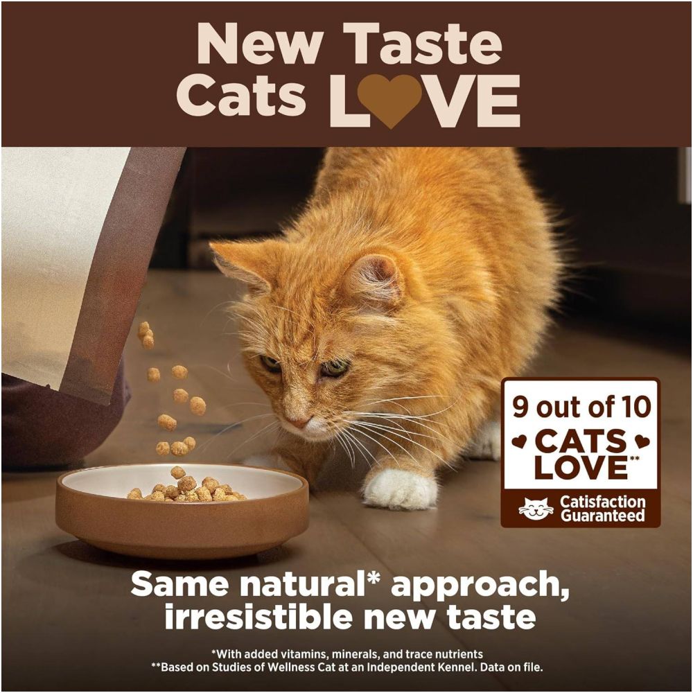 US Direct Mail Wellness CORE Adult Dry Cat Food High Protein Adult Dry Cat Food image 2