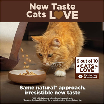 US Direct Mail Wellness CORE Adult Dry Cat Food High Protein Adult Dry Cat Food image 2