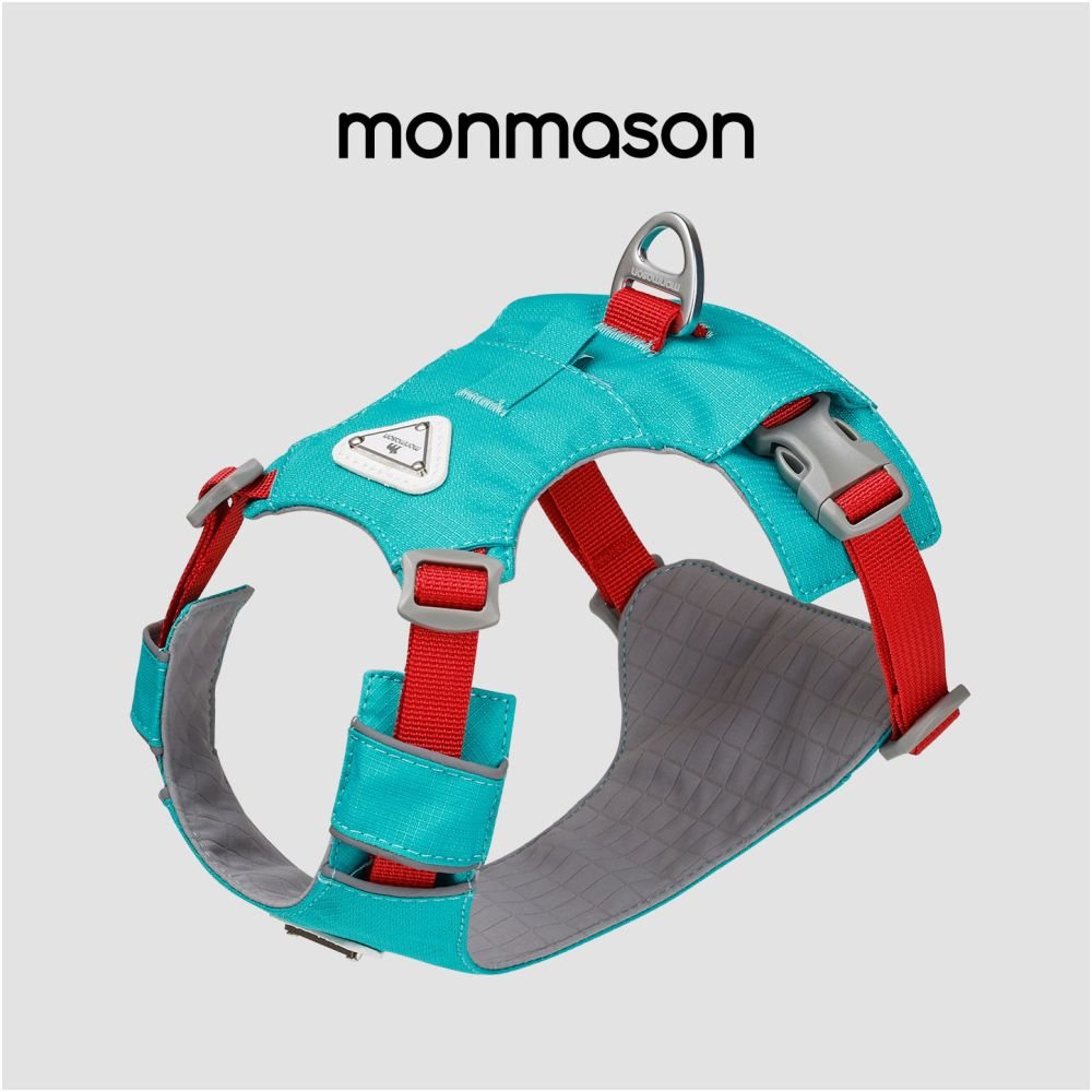 【Big Bear 大熊系列】雲感背心式狗胸背帶｜全犬種通用減壓牽引繩 - 吉安寵物用品