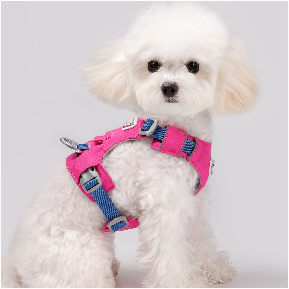 【Big Bear 大熊系列】雲感背心式狗胸背帶｜全犬種通用減壓牽引繩 - 吉安寵物用品