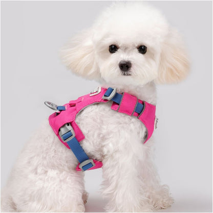 【Big Bear 大熊系列】雲感背心式狗胸背帶｜全犬種通用減壓牽引繩 - 吉安寵物用品