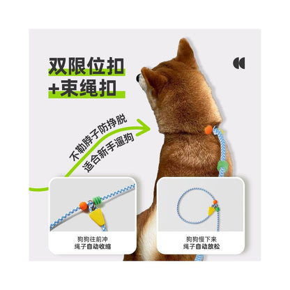 【CHASUP 官方正品】專業訓練級 P 繩牽引繩｜夏季清爽款防爆衝走繩 - 吉安寵物用品