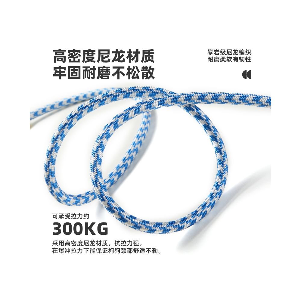 【CHASUP 官方正品】專業訓練級 P 繩牽引繩｜夏季清爽款防爆衝走繩 - 吉安寵物用品