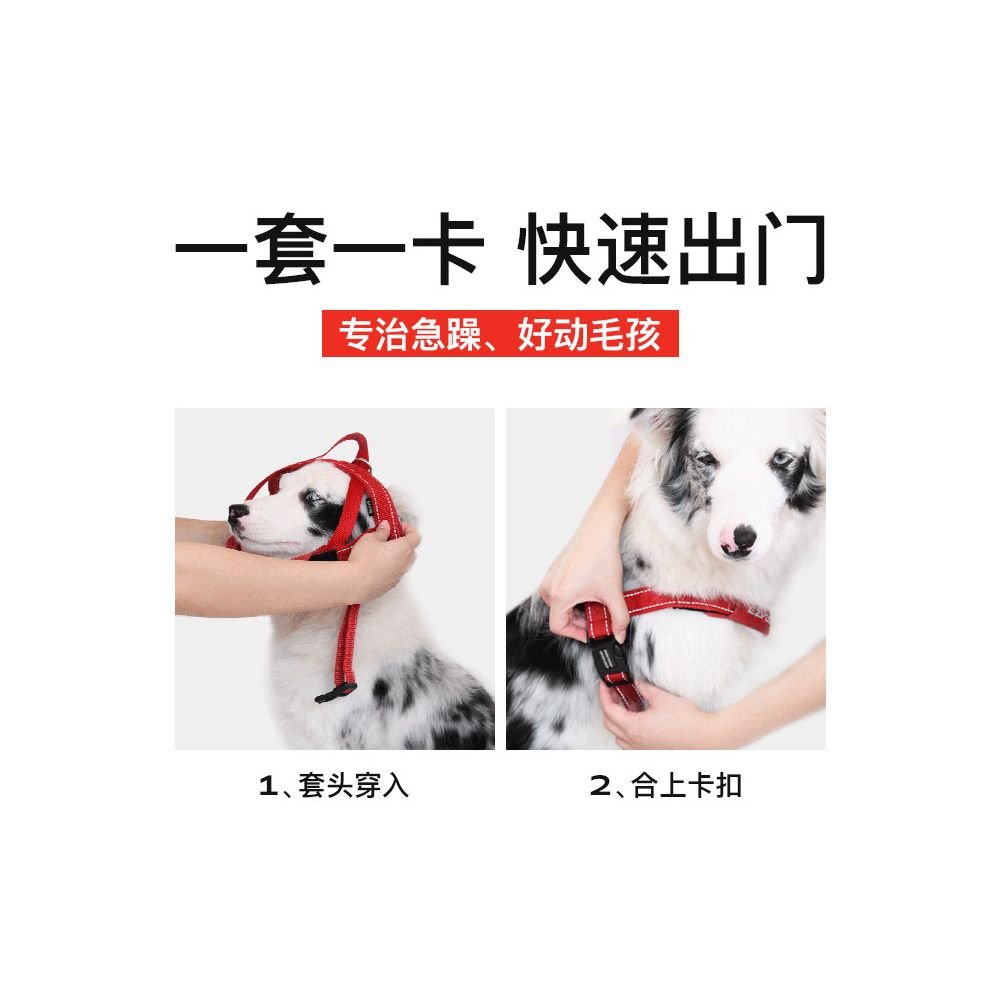 【EzyDog 官方正品】澳洲快速穿脫胸背帶｜全犬種通用防勒減壓背心 - 吉安寵物用品