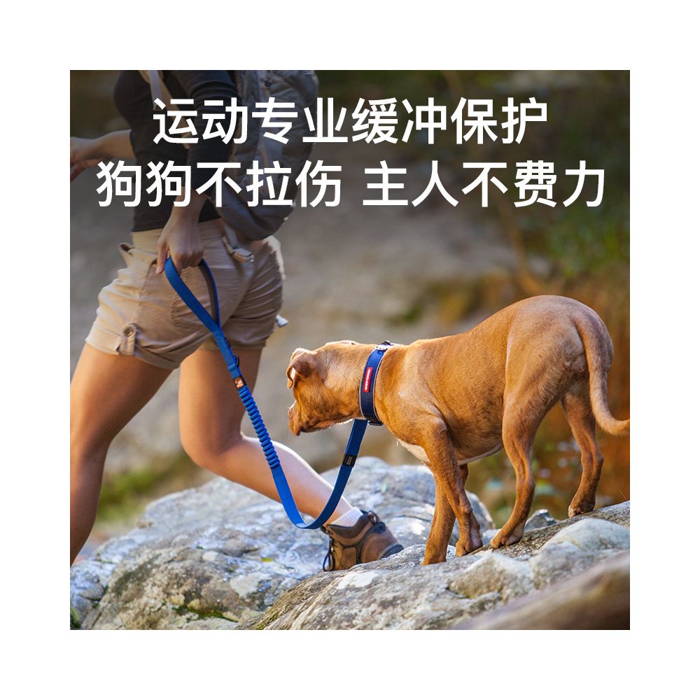 【EzyDog 澳洲正品】Zero Shock 零壓力減震牽引繩｜全犬種通用防爆衝狗繩 - 吉安寵物用品