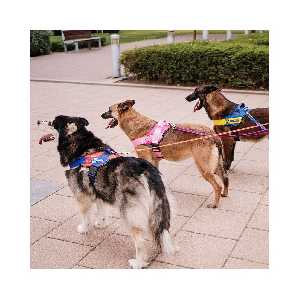 【Julius - K9 x 汪汪隊聯名款】Paw Patrol 專業防爆衝胸背帶｜中小型犬專用控制背心 - 吉安寵物用品