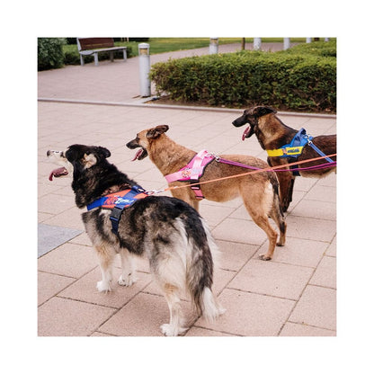 【Julius - K9 x 汪汪隊聯名款】Paw Patrol 專業防爆衝胸背帶｜中小型犬專用控制背心 - 吉安寵物用品