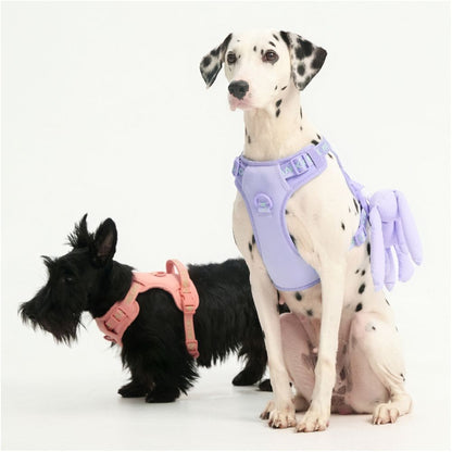 【maogoublue】經典克萊因藍胸背帶｜全犬種通用背心式牽引組 - 吉安寵物用品