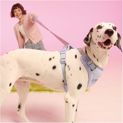 【maogoublue】經典克萊因藍胸背帶｜全犬種通用背心式牽引組 - 吉安寵物用品