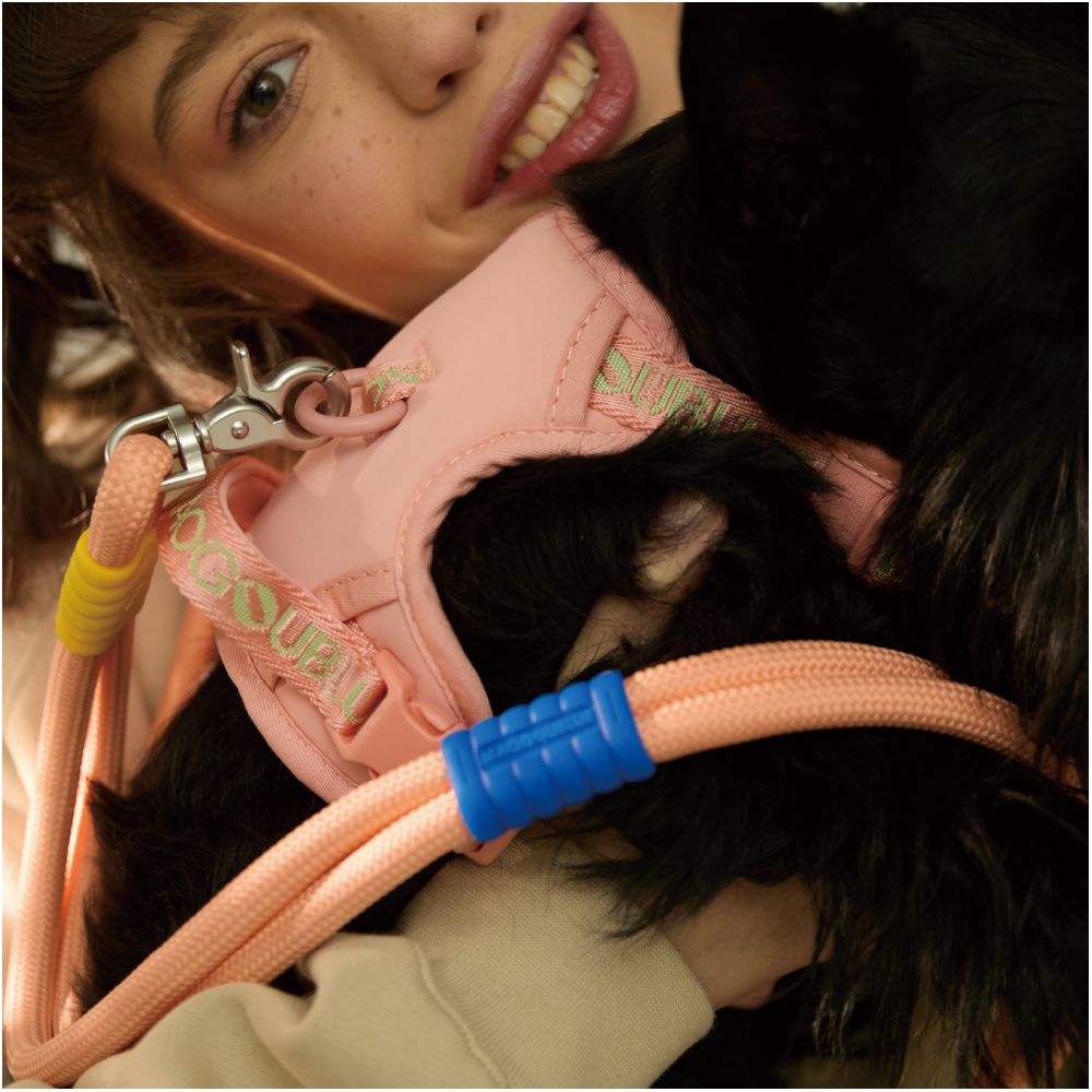 【maogoublue】經典克萊因藍胸背帶｜全犬種通用背心式牽引組 - 吉安寵物用品