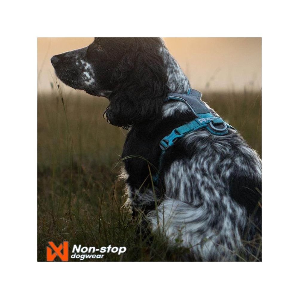 【挪威 Non - stop 正品】Line Harness 5.0 專業全能胸背帶｜全犬種通用隨行訓練背心 - 吉安寵物用品
