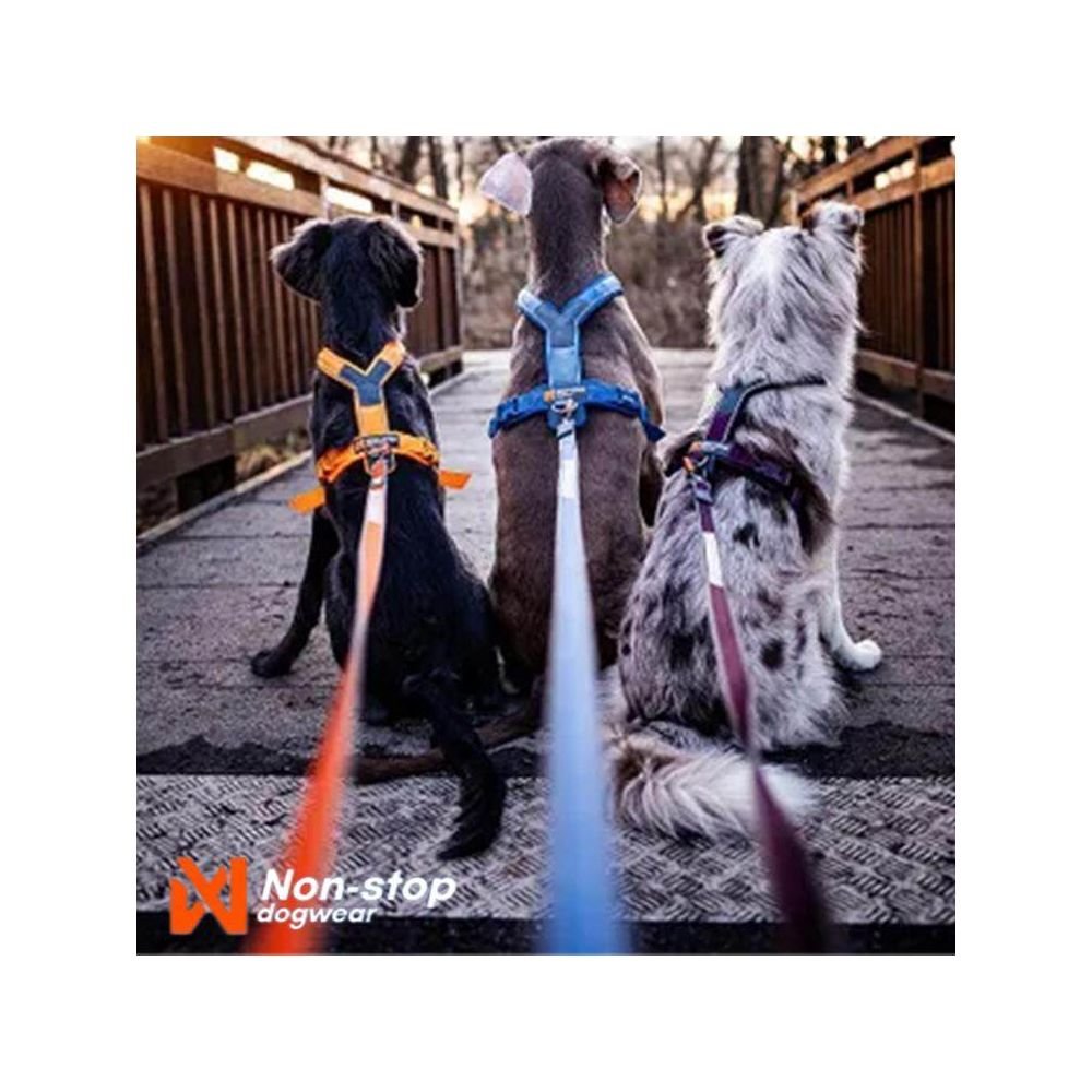 【挪威 Non - stop 正品】Line Harness 5.0 專業全能胸背帶｜全犬種通用隨行訓練背心 - 吉安寵物用品