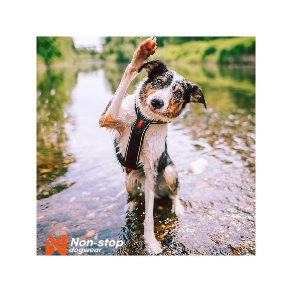 【挪威 Non - stop 正品】Line Harness 5.0 專業全能胸背帶｜全犬種通用隨行訓練背心 - 吉安寵物用品
