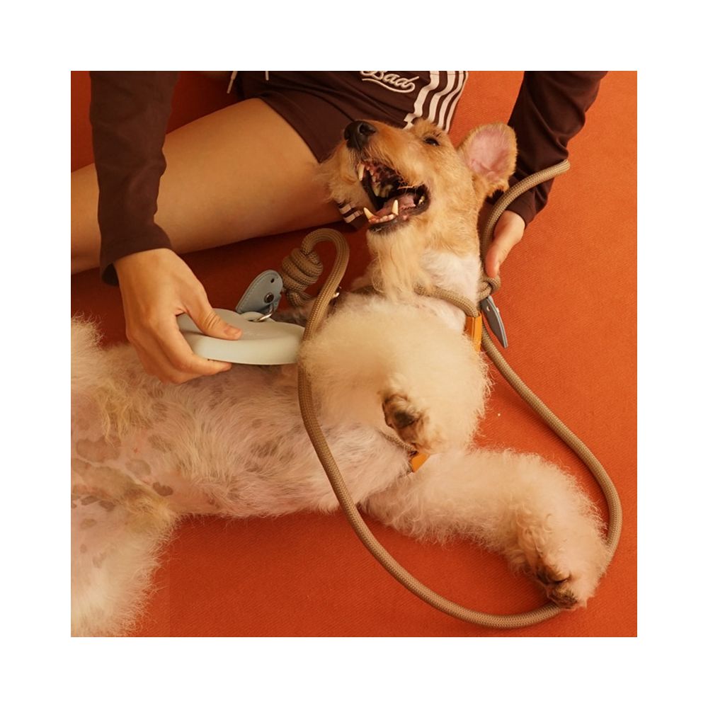 【PATTHEBOO 官方正品】復古風一體式牽引繩｜專業防爆衝防滑狗繩 - 吉安寵物用品