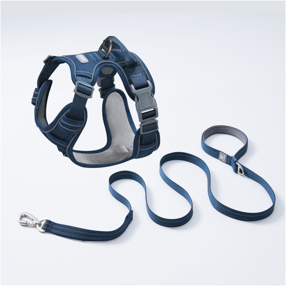 【Pawaii 官方正品】雲感胸墊背心式胸背帶｜小型犬防掙脫牽引繩套組 - 吉安寵物用品