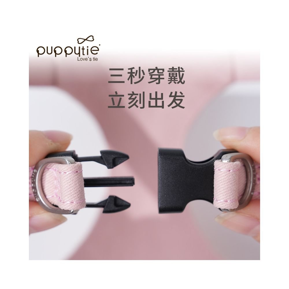 【Puppytie 官方正品】夏季輕透胸背帶｜比熊/約克夏/博美專用超輕量牽引組 - 吉安寵物用品