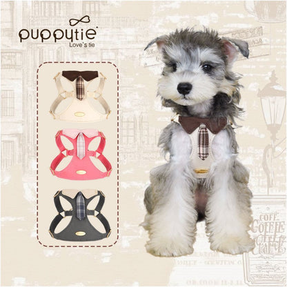 【Puppytie 官方正品】專業背心式胸背帶牽引組｜中小型犬戶外專用機能裝備 - 吉安寵物用品