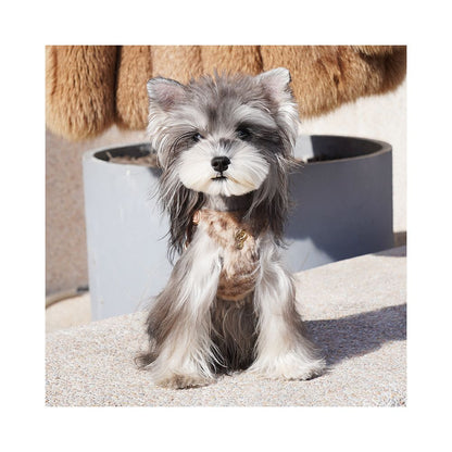 【Puppytie 官方正品】法式時髦豹紋胸背帶｜雪納瑞/泰迪小型犬專用牽引組 - 吉安寵物用品