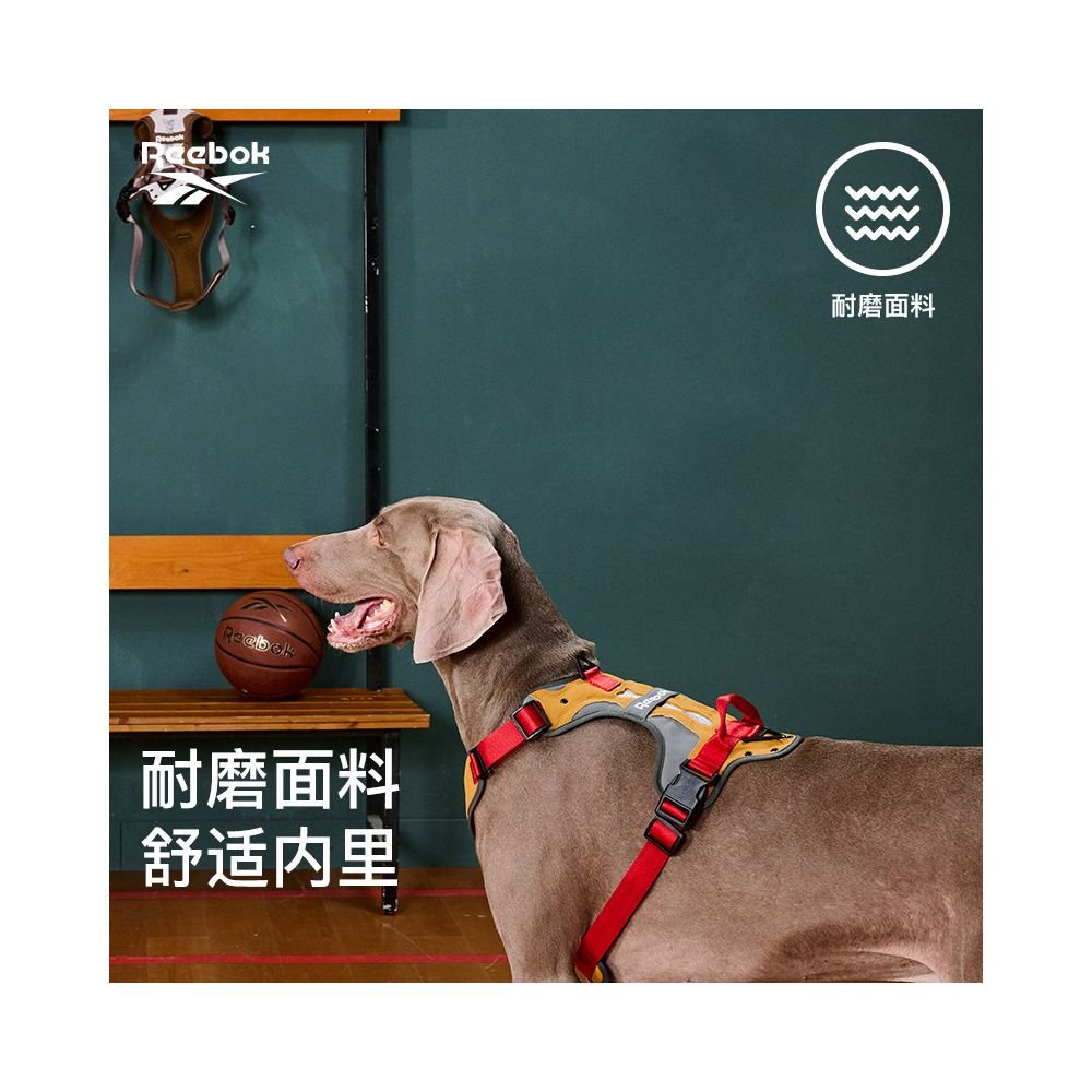 【Reebok Pet 官方正品】專業運動級防護胸背帶｜中大型犬減壓背心式牽引組 - 吉安寵物用品