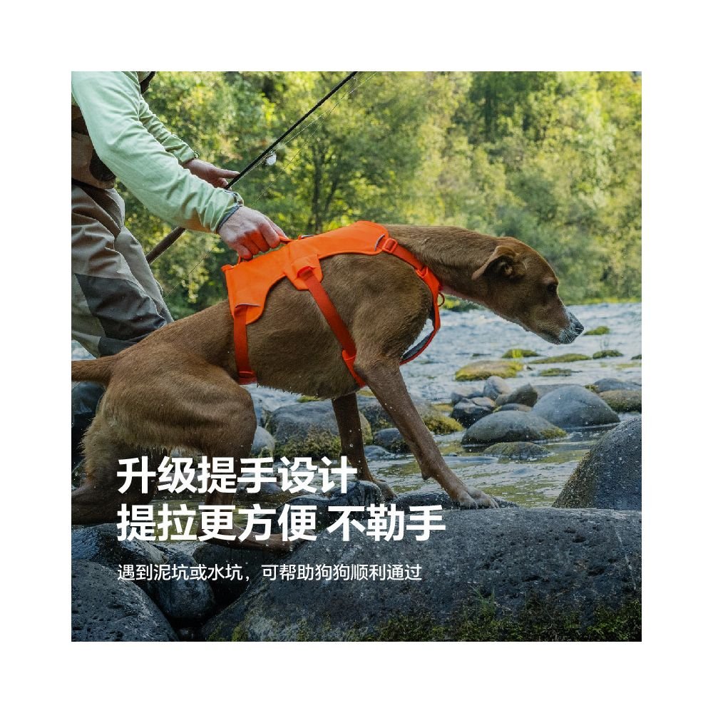 【Ruffwear 官方正品】2026 全新攀爬級專業牽引繩｜Pull - Up Rigging 工業級結構狗繩 - 吉安寵物用品