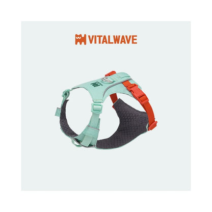【Vitalwave 官方正品】活力光波系列胸背帶｜全犬種通用防掙脫牽引套組 - 吉安寵物用品