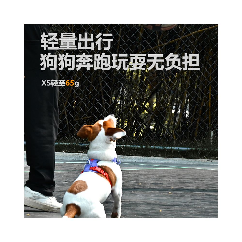 【Vitalwave 官方正品】活力光波系列胸背帶｜全犬種通用防掙脫牽引套組 - 吉安寵物用品