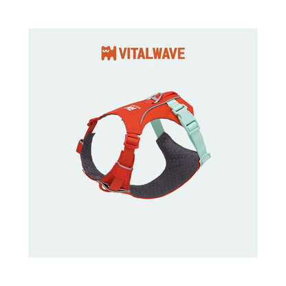 【Vitalwave 官方正品】活力光波系列胸背帶｜全犬種通用防掙脫牽引套組 - 吉安寵物用品
