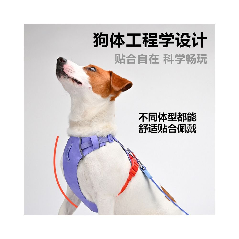 【Vitalwave 官方正品】活力光波系列胸背帶｜全犬種通用防掙脫牽引套組 - 吉安寵物用品