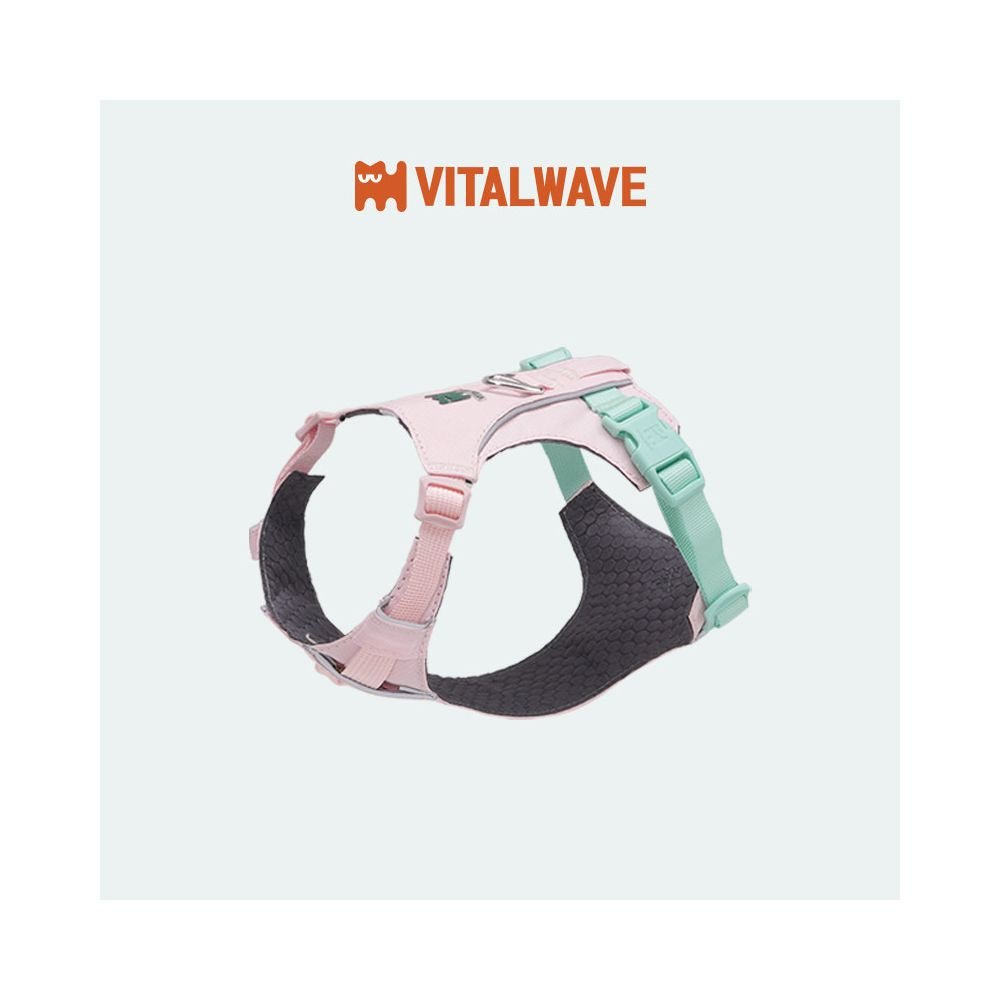 【Vitalwave 官方正品】活力光波系列胸背帶｜全犬種通用防掙脫牽引套組 - 吉安寵物用品