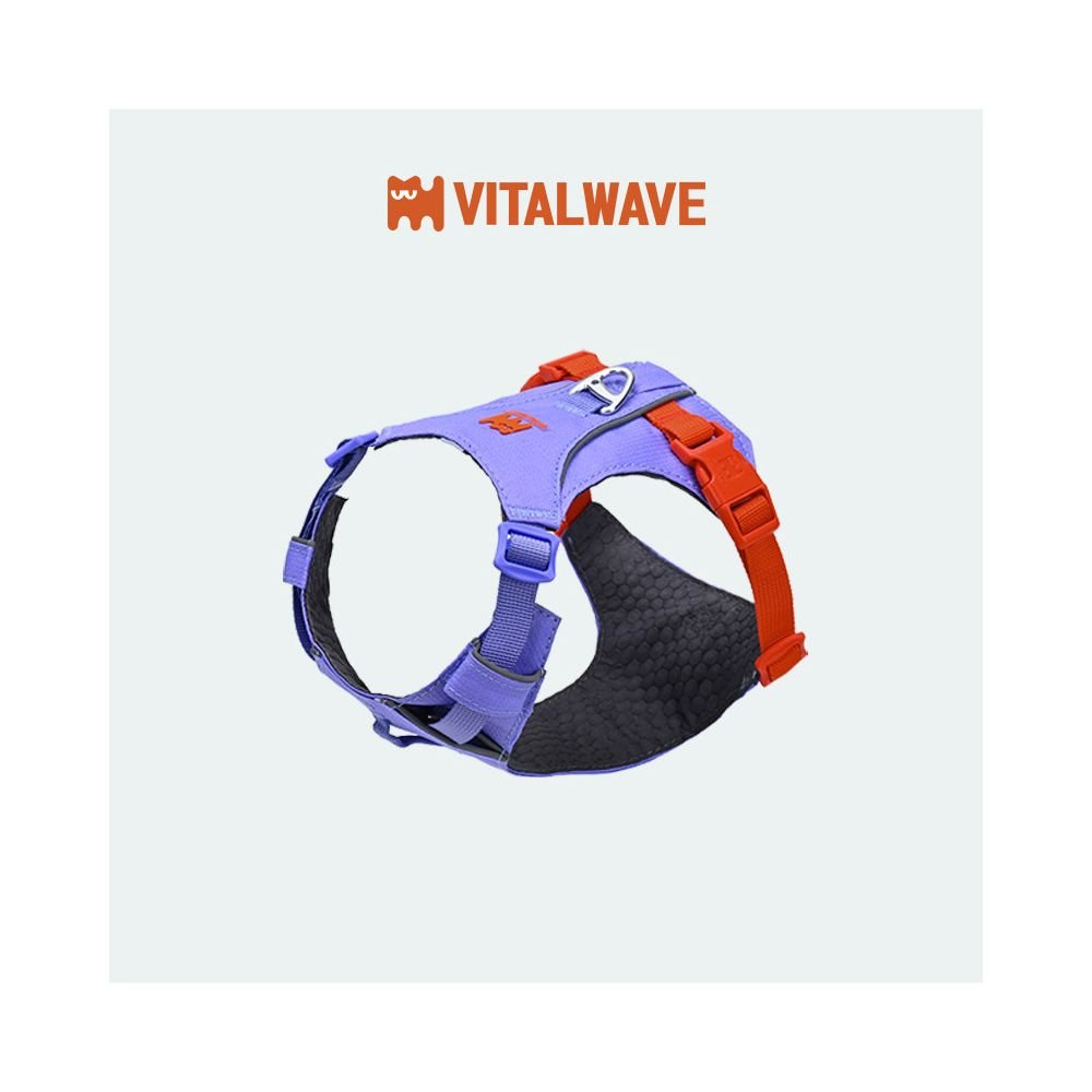【Vitalwave 官方正品】活力光波系列胸背帶｜全犬種通用防掙脫牽引套組 - 吉安寵物用品