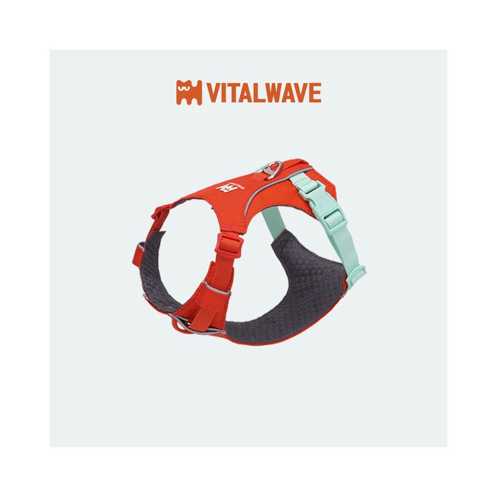 【Vitalwave 官方正品】活力光波系列胸背帶｜全犬種通用防掙脫牽引套組 - 吉安寵物用品