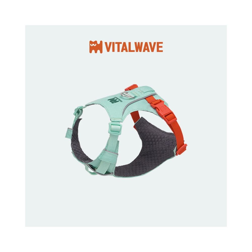 【Vitalwave 官方正品】活力光波系列胸背帶｜全犬種通用防掙脫牽引套組 - 吉安寵物用品